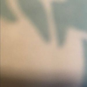 Meet your Posher, Lynn